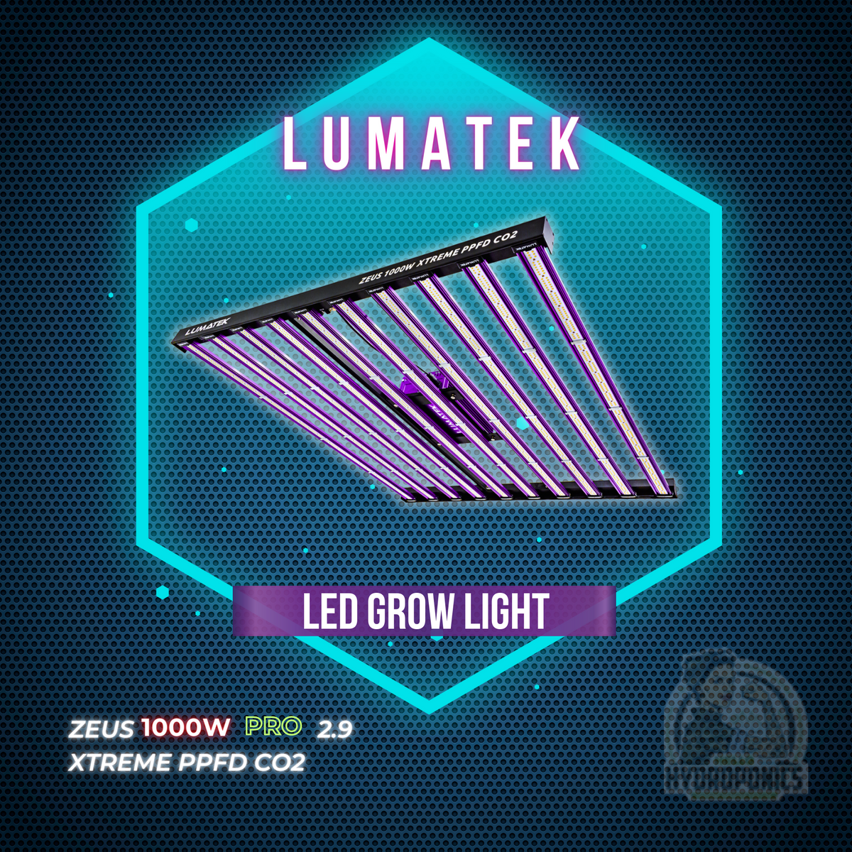 Led lights grow discount lights