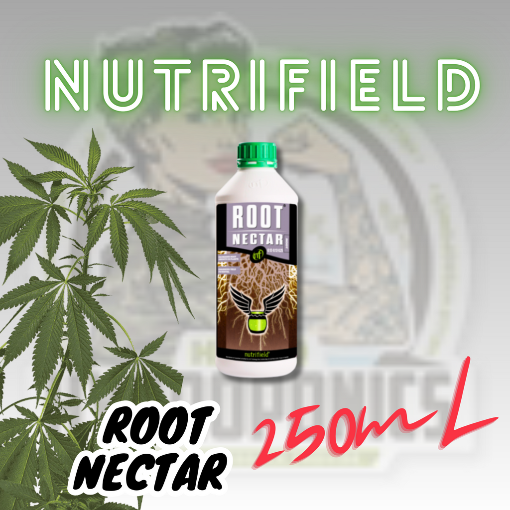Nutrifield Root Nectar 250ML