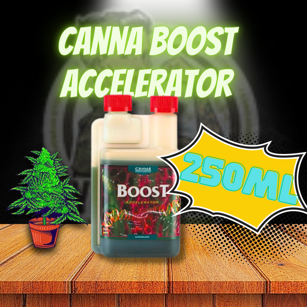 Canna Boost Accelerator 250ml