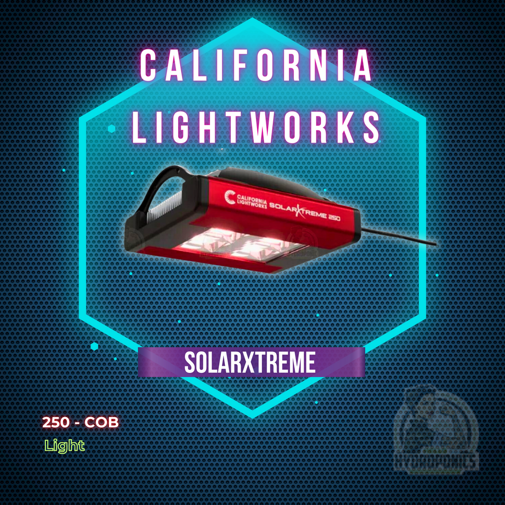 California Lightworks SolarXtreme 250 - COB Light