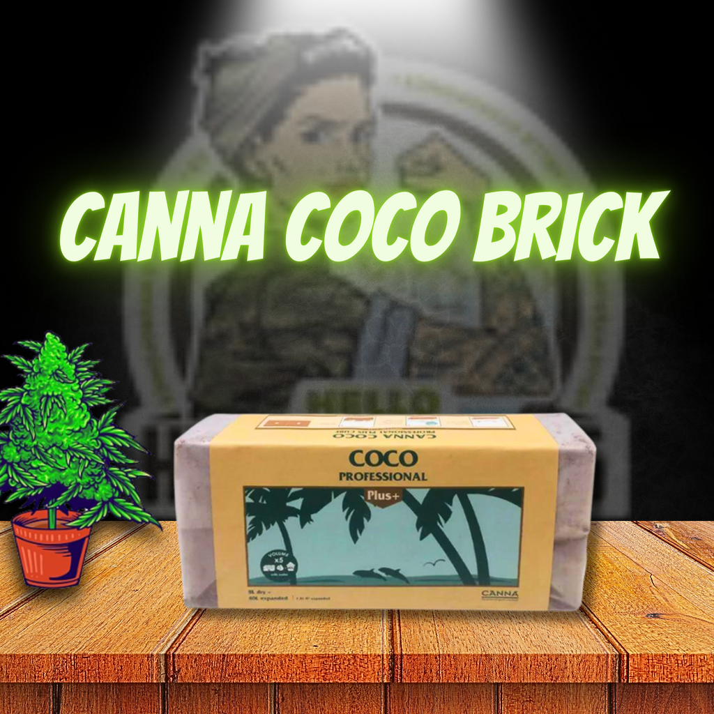 Canna Coco Brick