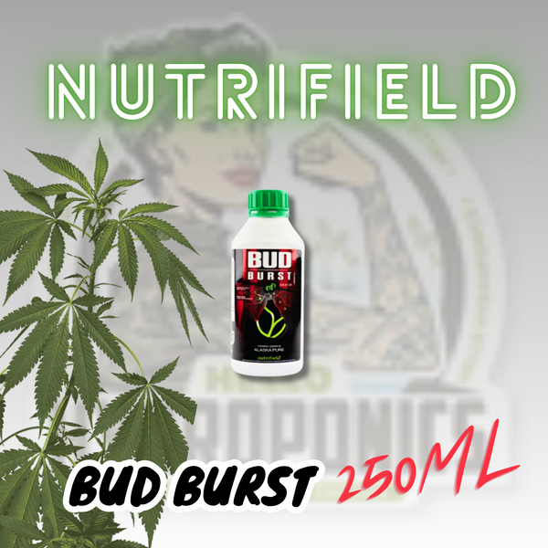 Nutrifield Bud Burst 250ML
