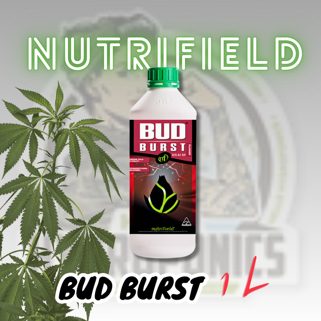 Nutrifield Bud Burst 1L