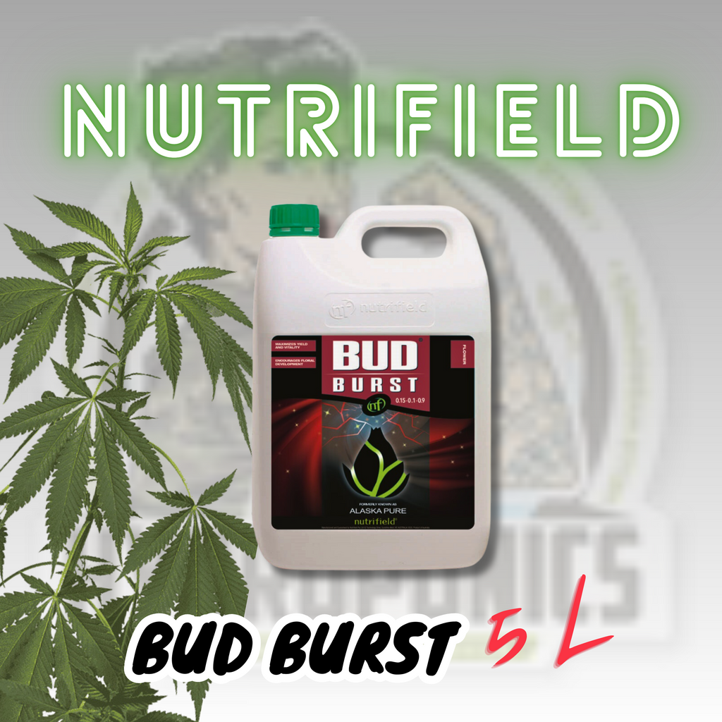 Nutrifield Bud Burst 5L