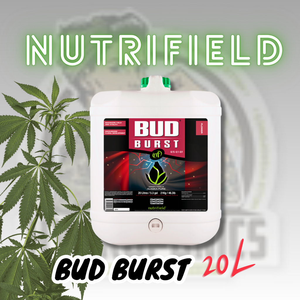 Nutrifield Bud Burst 20L
