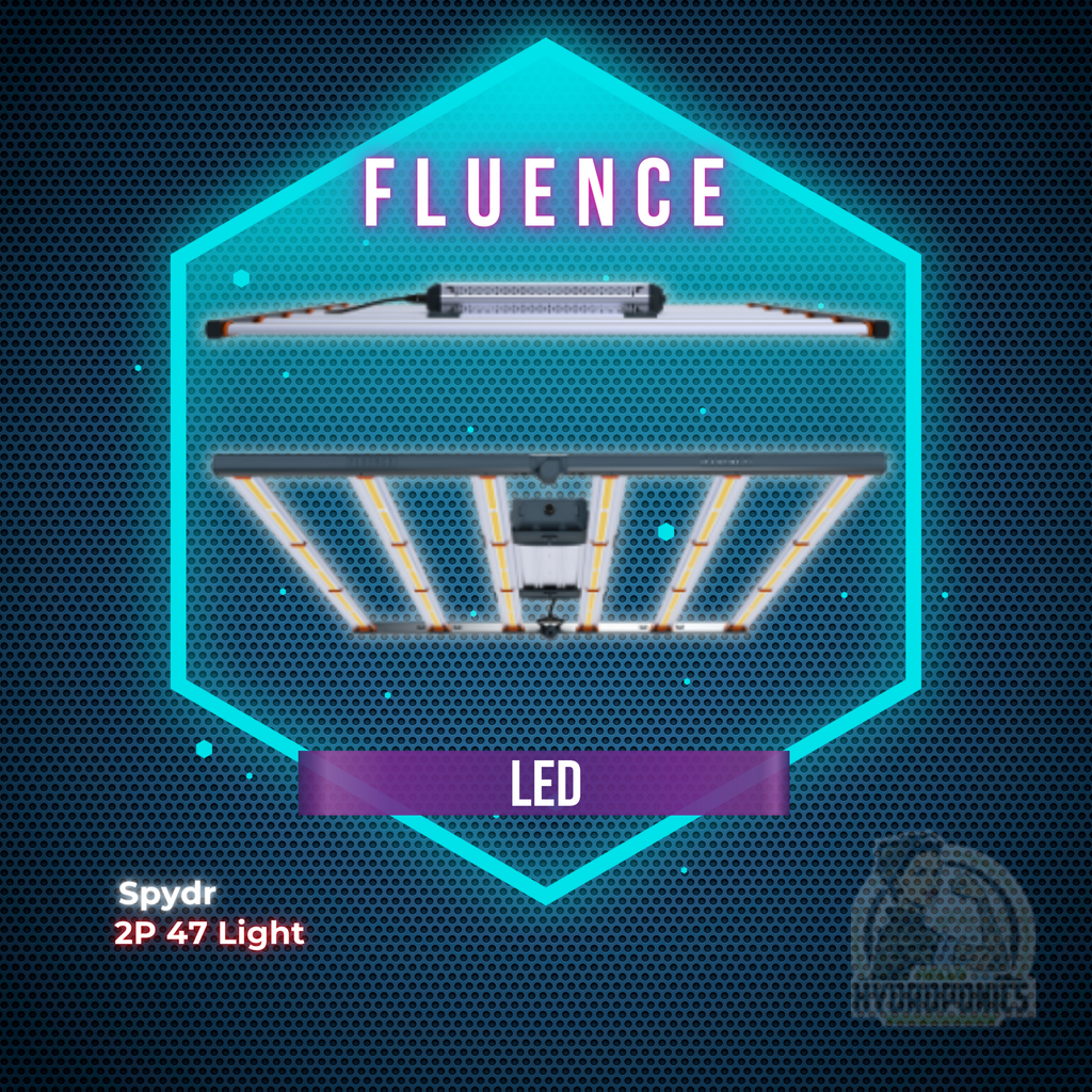 Fluence LED Spydr 2P 47 Light