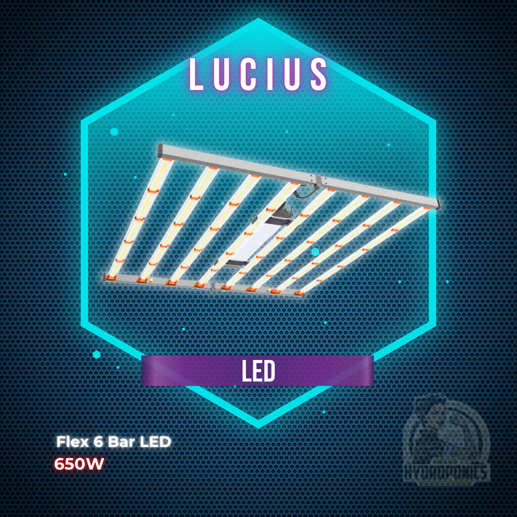 Lucius Flex 6 Bar LED 650W