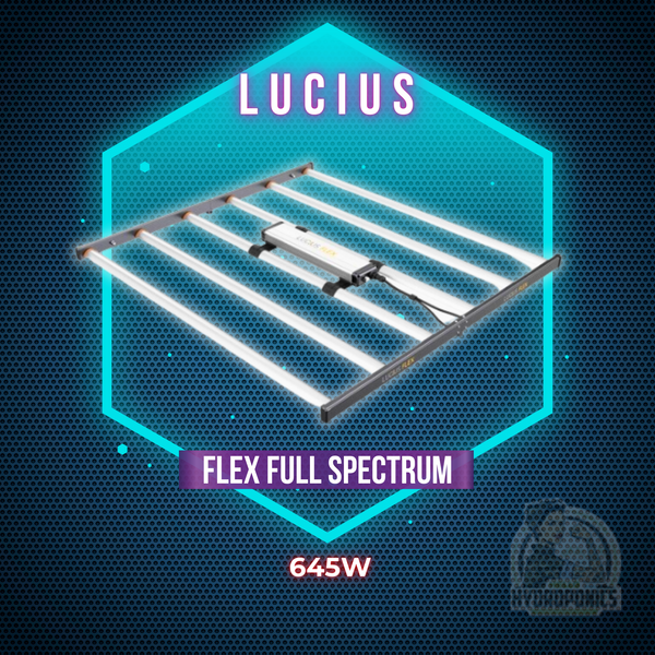 Lucius Flex Full Spectrum 645W