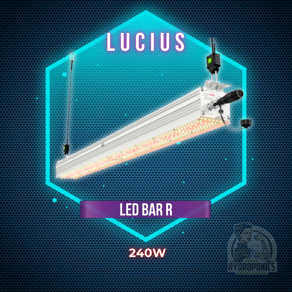 Lucius LED Bar R 240W