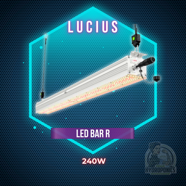 Lucius LED Bar R 240W