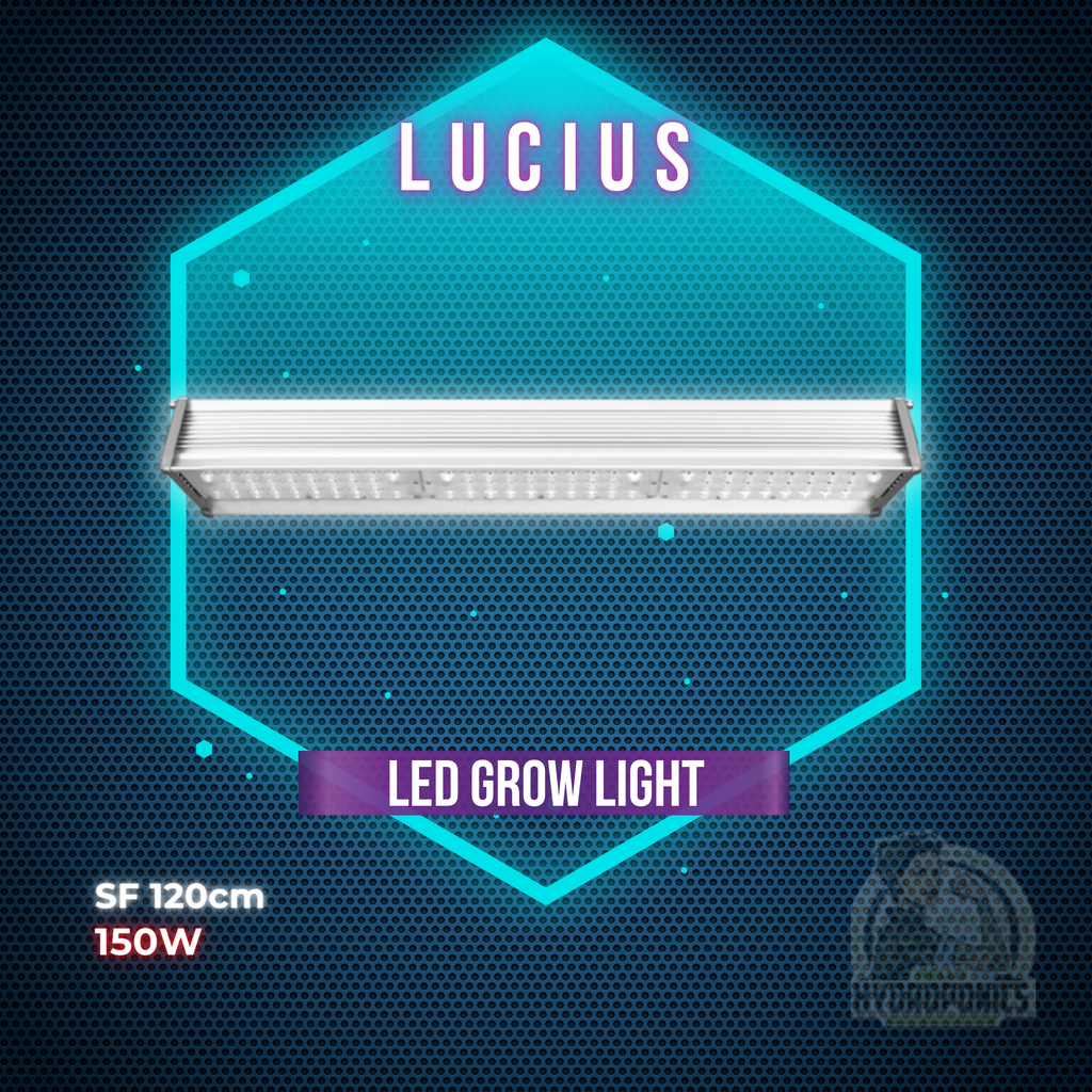 Lucius LED Grow Light SF 150W 120cm