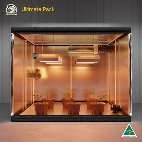Ultimate Pack - Budbox Elite Silver Tent HC - 295 X 295 X 230 cm | Lucius Maximus 600W X4