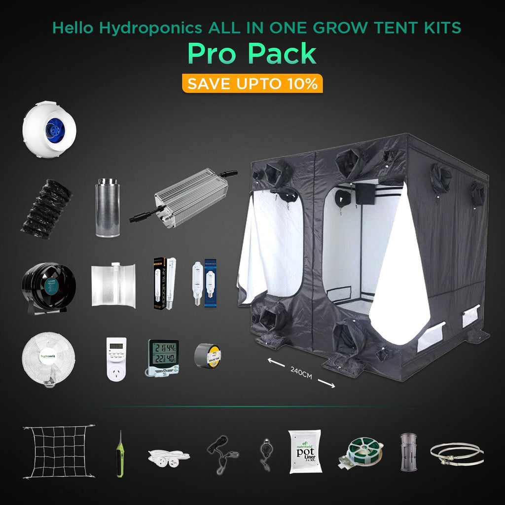 Pro Pack - Budbox Elite Silver Tent HC - 240 X 240 X 230 cm | Lucius Maximus 600W X4