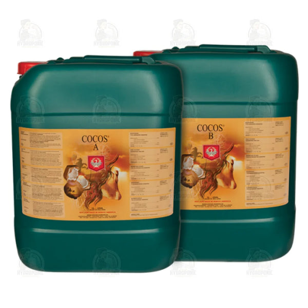 H&G Cocos A&B 20L