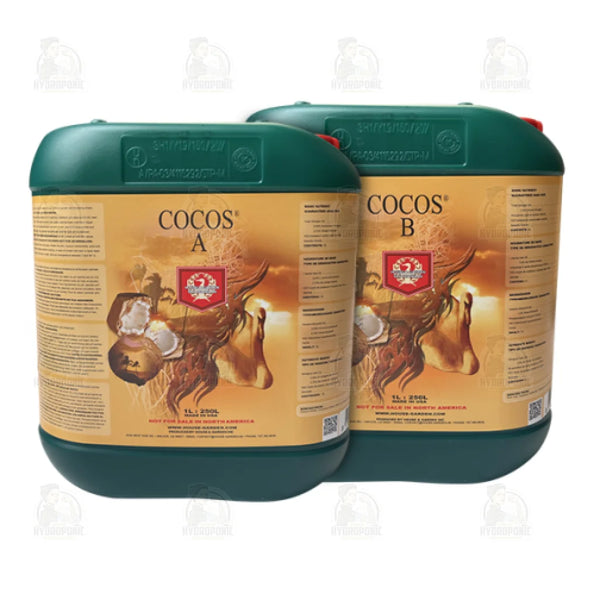 H&G Cocos A&B 5L