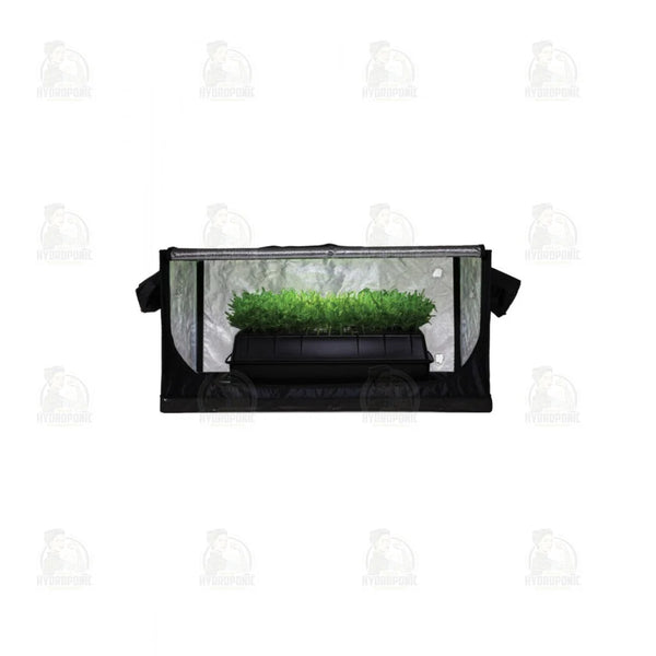 Jungle Room Tent 85cm x 50cm x 40cm